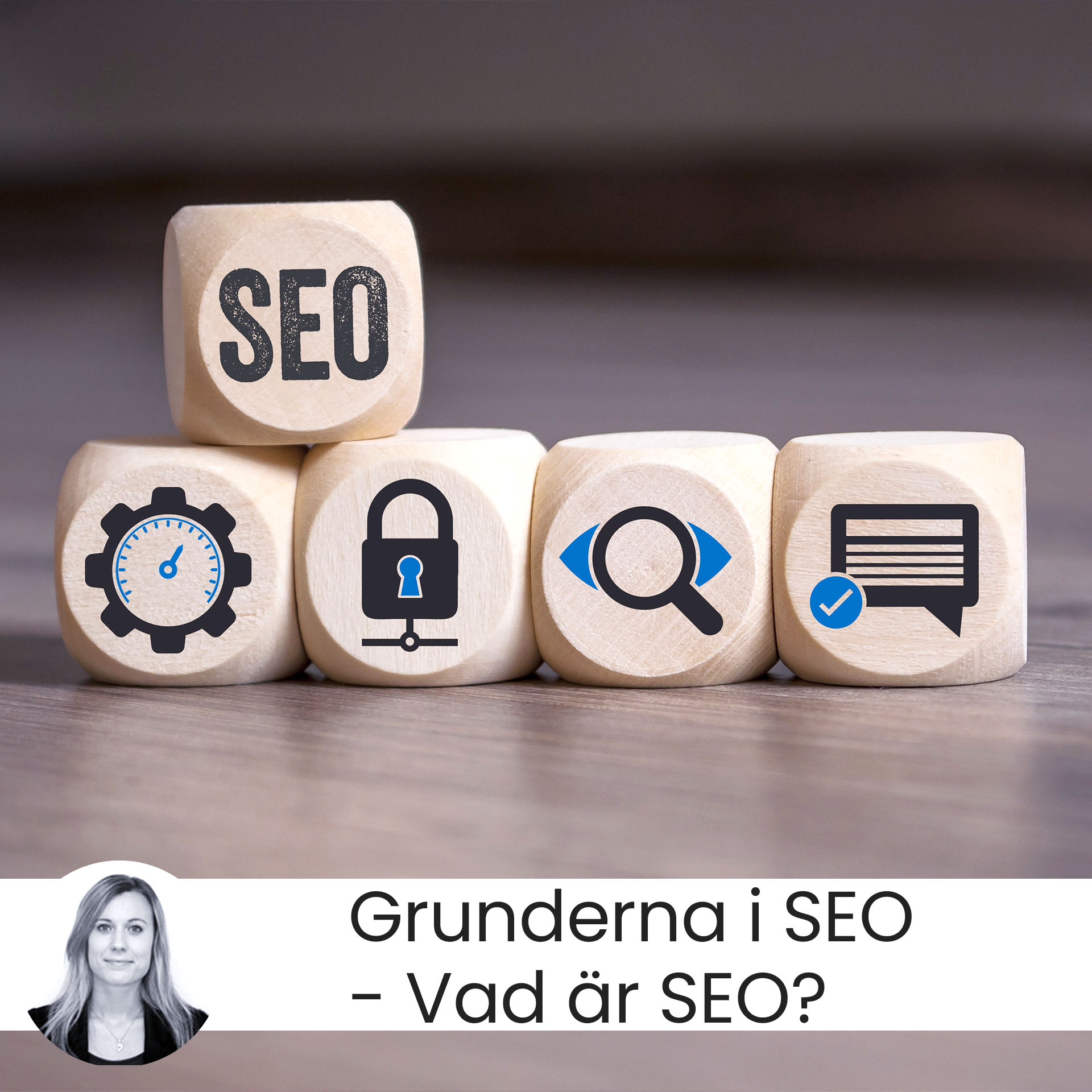 grunderna i seo-wordpress-34